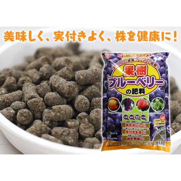 果樹 ブルーベリーの肥料 500g U 071 花と緑の専門店 土っ子倶楽部 通販 Yahoo ショッピング
