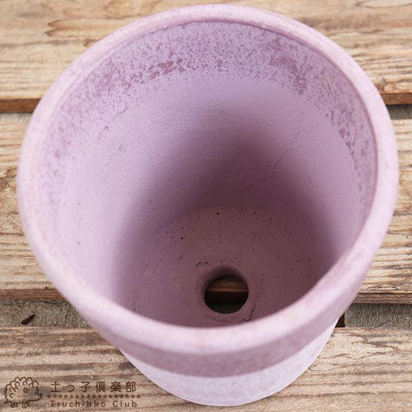 テラコッタ 』 13.5cm 鉢 ( 紫 ・ パープル ) : 花と緑の専門店 土っ子