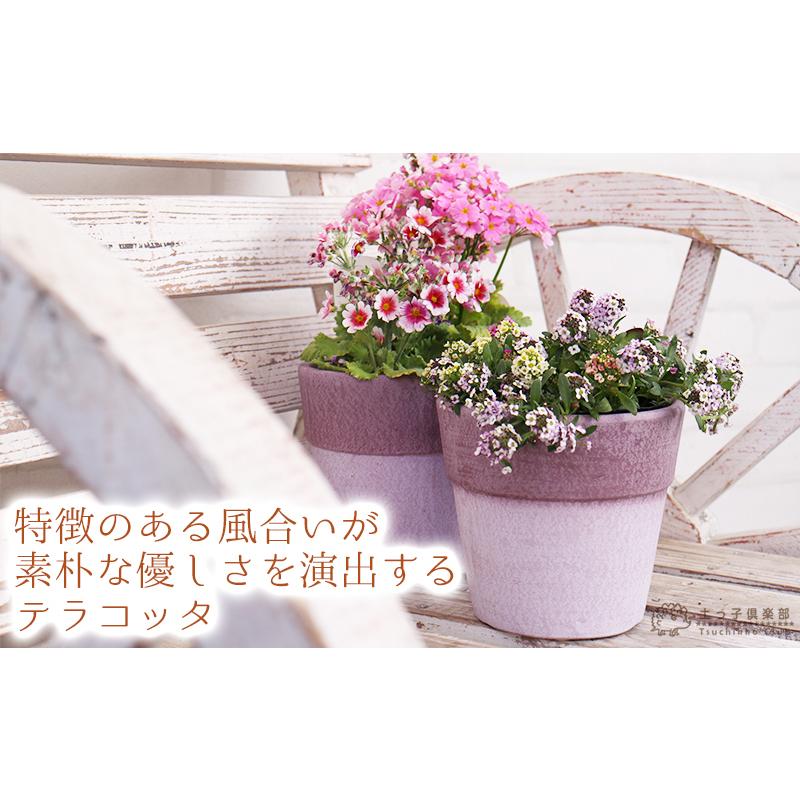テラコッタ 』 13.5cm 鉢 ( 紫 ・ パープル ) : 花と緑の専門店 土っ子