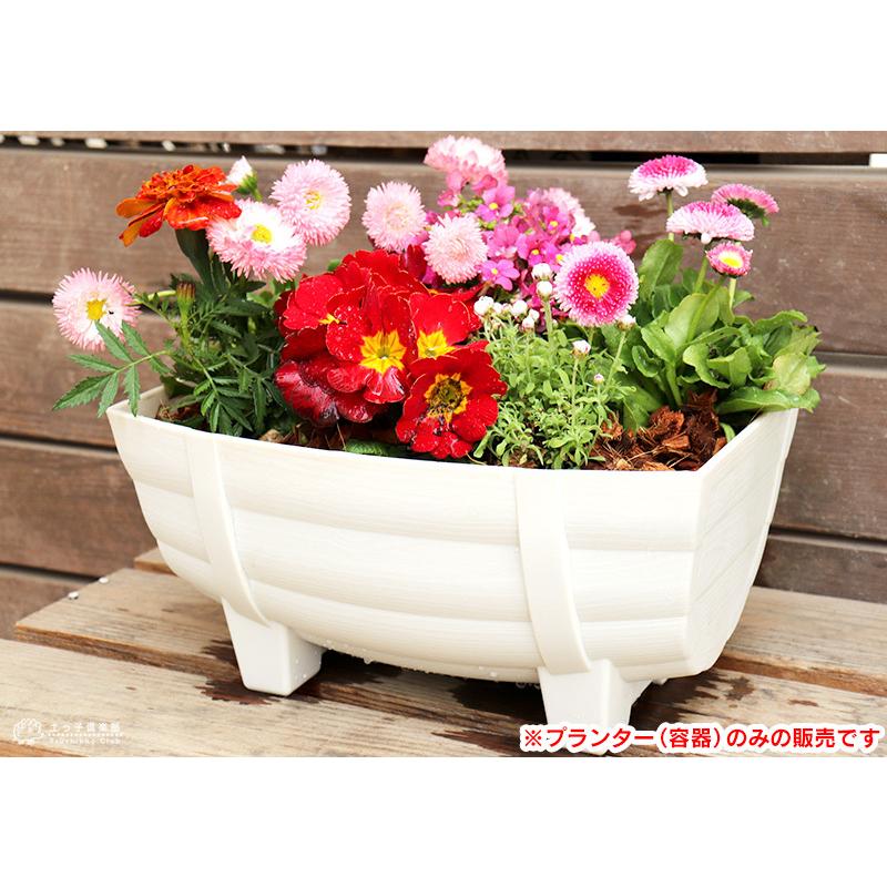 タル型プランター ホワイト （ 白 ） 《 径28cm×20cm 》 : 花と緑の