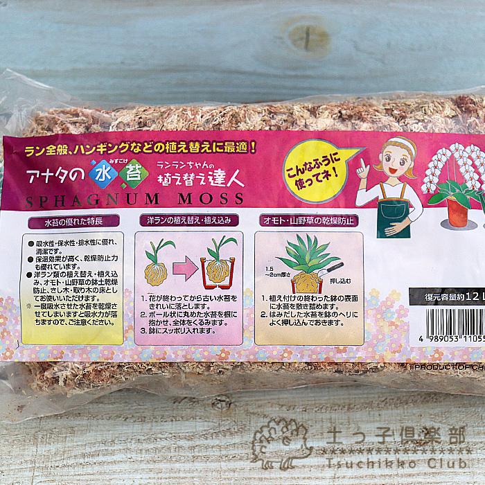 水苔2個とコルク樹皮2本セット 水苔 ミズゴケ 150g 圧縮水苔 : 花と緑の専門店 土っ子倶楽部 - 通販