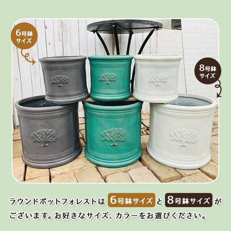 ラウンドポット フォレスト8号（選べる3色）外径ф32.5cm×高さ30cm : 花 