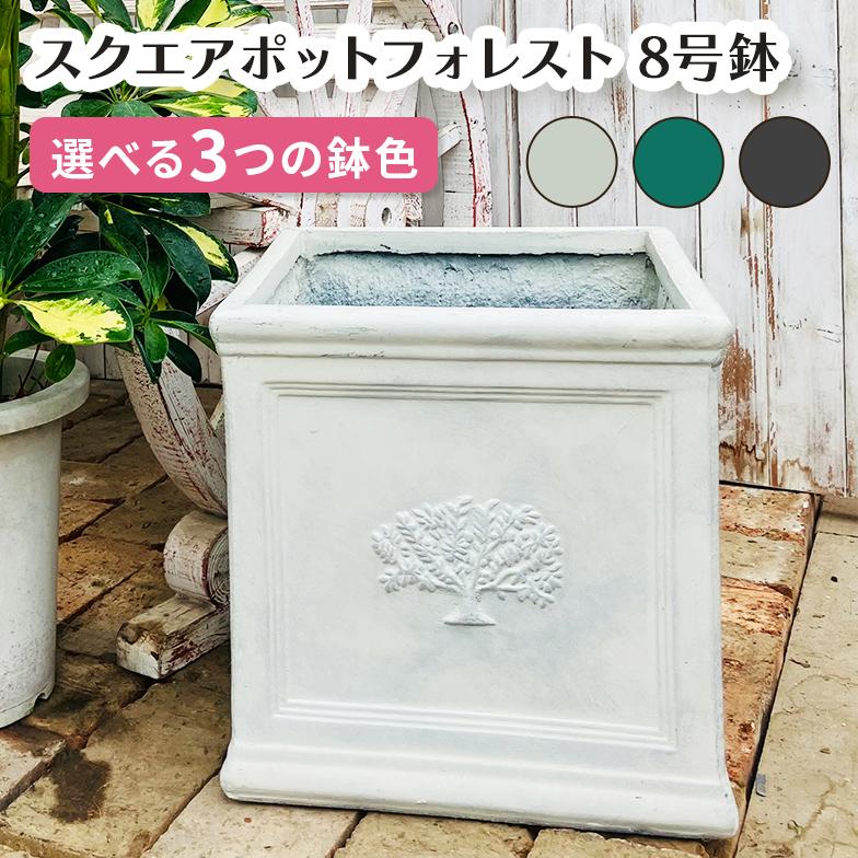 スクエアポット フォレスト8号（選べる3色）外巾32cm×奥行32cm×高さ