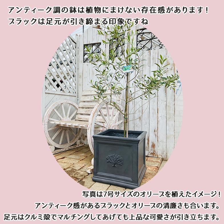 四角プランター 32cm グレー 8号 2個セット 楽天市場】【楽天1位