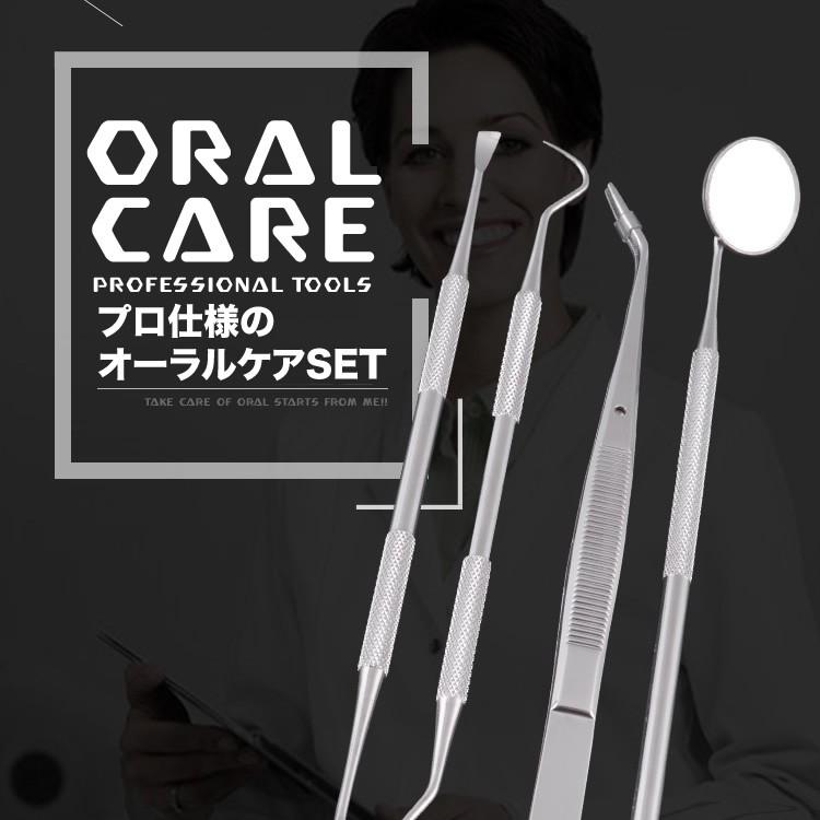 オーラルケア デンタルケア 歯 ツール 歯石取り 4点セット スケーラー