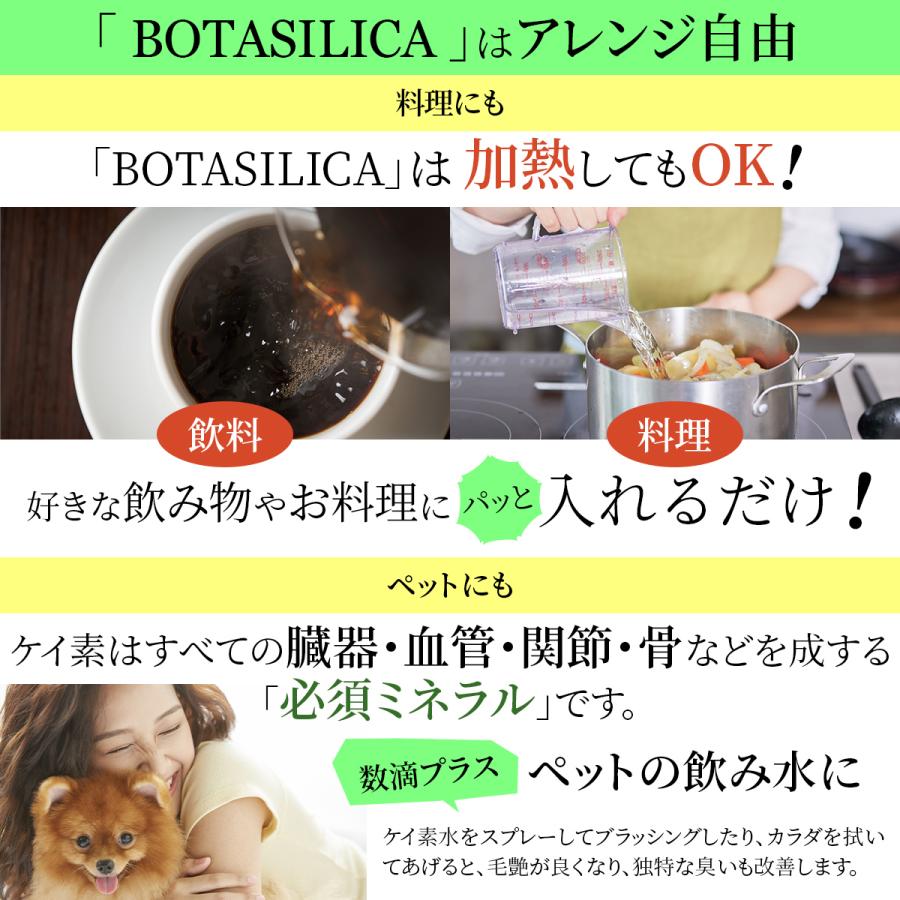 BOTANICAL KEISO 植物性飲料 500ml BOTANICAL KEISO 植物性飲料 500ml 楽天市場】【予約割10％OFF