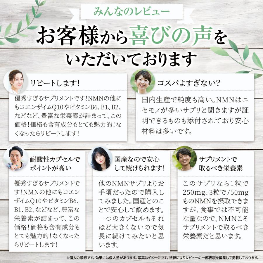 NMN サプリ 7500mg 日本製 最高純度99.9%以上 国産 本物 効果 口コミ ビタミン 女性 男性 強力 オススメ mnm 高含有 250mgx30粒 送料無料 (NMN∞) | PROE | 18