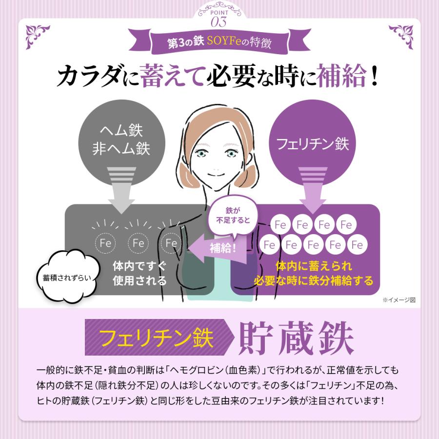 鉄分 サプリ フェリチン鉄 葉酸 大豆 イソフラボン サプリメント まめ鉄 鉄分補給 女性 男性 効果 強力 フェリチン 鉄 日本製 オススメ 30日分 送料無料 (SOYFe) | PROE | 11