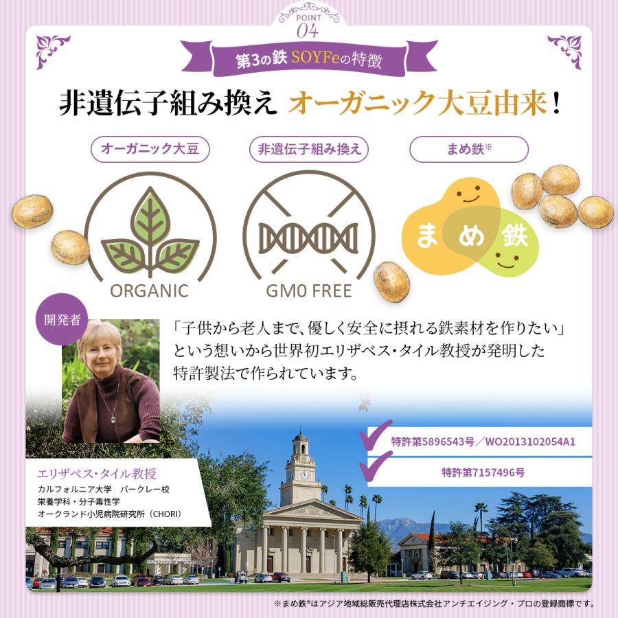 鉄分 サプリ フェリチン鉄 葉酸 大豆 イソフラボン サプリメント まめ鉄 鉄分補給 女性 男性 効果 強力 フェリチン 鉄 日本製 オススメ 30日分 送料無料 (SOYFe) | PROE | 12