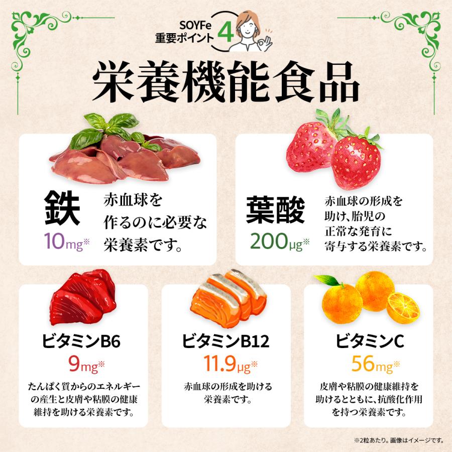 鉄分 サプリ フェリチン鉄 葉酸 大豆 イソフラボン サプリメント まめ鉄 鉄分補給 女性 男性 効果 強力 フェリチン 鉄 日本製 オススメ 30日分 送料無料 (SOYFe) | PROE | 06