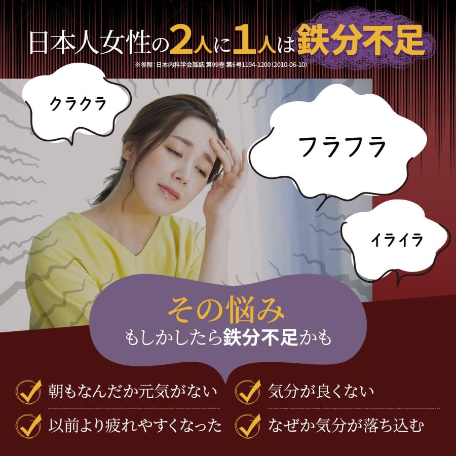 鉄分 サプリ フェリチン鉄 葉酸 大豆 イソフラボン サプリメント まめ鉄 鉄分補給 女性 男性 効果 強力 フェリチン 鉄 日本製 オススメ 30日分 送料無料 (SOYFe) | PROE | 07