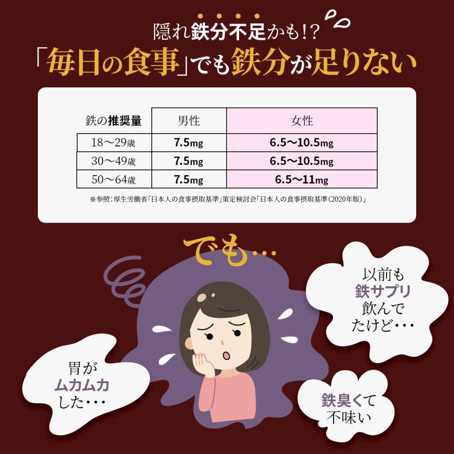 鉄分 サプリ フェリチン鉄 葉酸 大豆 イソフラボン サプリメント まめ鉄 鉄分補給 女性 男性 効果 強力 フェリチン 鉄 日本製 オススメ 30日分 送料無料 (SOYFe) | PROE | 08