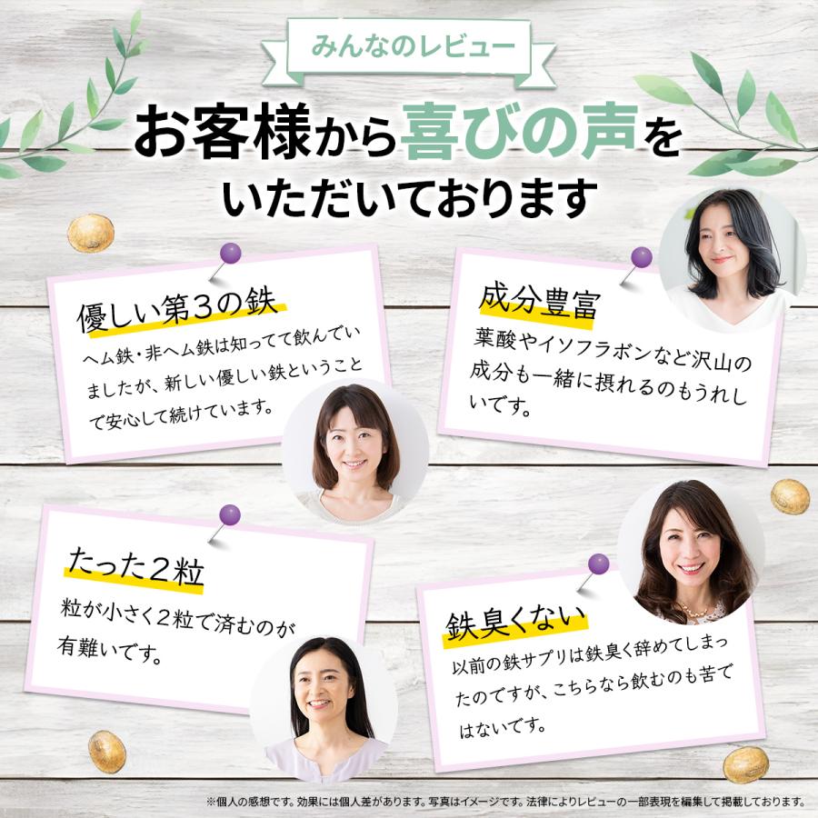 鉄分 サプリメント 葉酸サプリ 大豆 イソフラボン フェリチン鉄 ビタミン 鉄分補給 市販 ランキング 日本製 おすすめ 60日分 送料無料 (ソイフェ) | PROE | 17