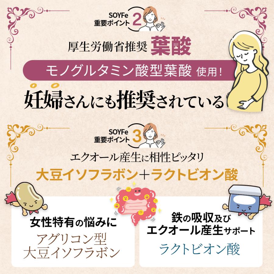鉄分 サプリメント 葉酸サプリ 大豆 イソフラボン フェリチン鉄 ビタミン 鉄分補給 市販 ランキング 日本製 おすすめ 60日分 送料無料 (ソイフェ) | PROE | 05