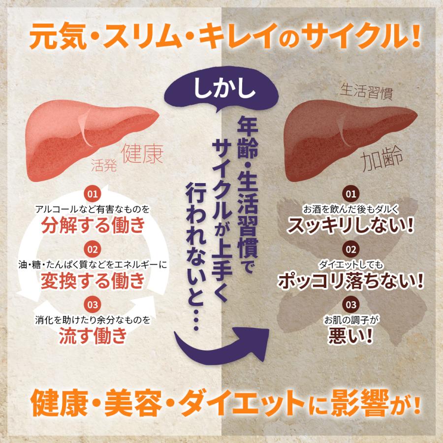 スルフォラファン サプリ 肝臓ケア 機能性表示食品 肝臓 ケア サプリメント ALT ブロッコリー スプラウト 日本製 オススメ 30日分 送料無料 粒 (スルフォ30) | PROE | 05