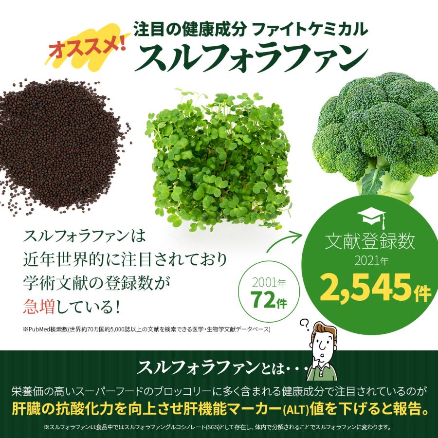 スルフォラファン サプリ 肝臓 ケア 機能性表示食品 肝機能 肝臓ケア サプリメント ALT ブロッコリー 日本製 おすすめ 60日分 送料無料 (スルフォ30) |  | 06