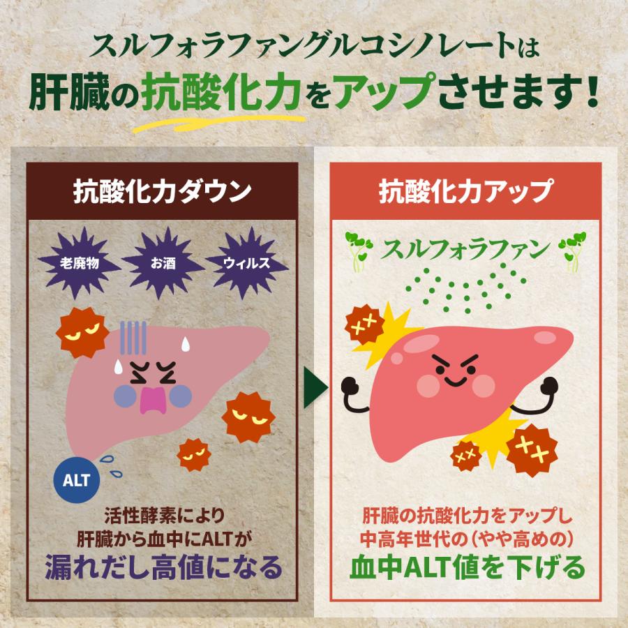 スルフォラファン サプリ 肝臓 ケア 機能性表示食品 肝機能 肝臓ケア サプリメント ALT ブロッコリー 日本製 おすすめ 60日分 送料無料 (スルフォ30) |  | 08