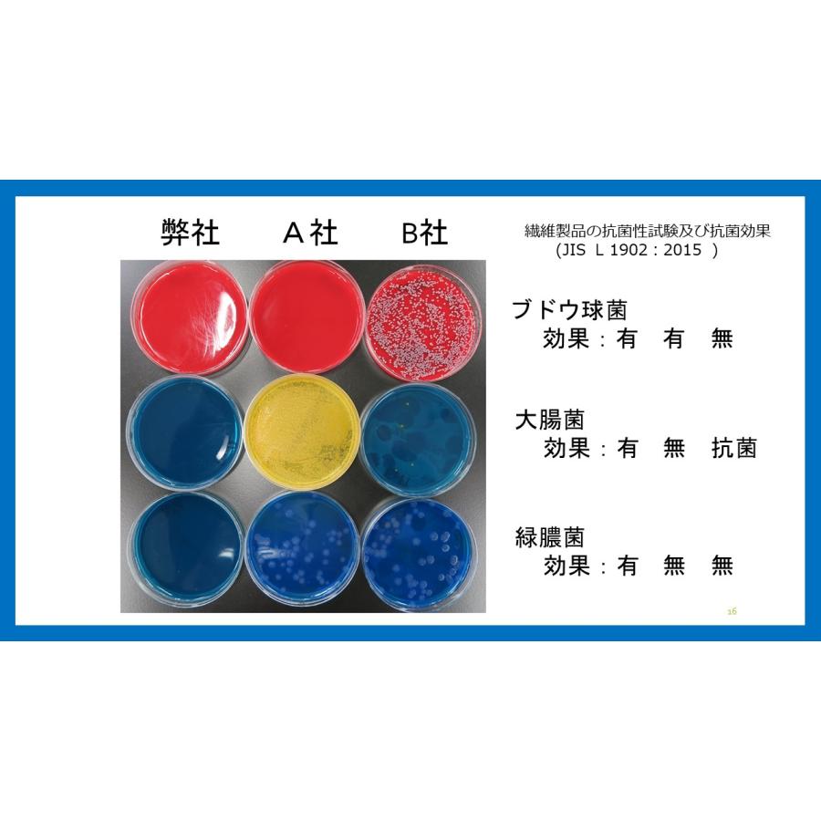ラボテクト　除菌除ウイルス消臭剤　お徳用 500ｍｌ |  | 12