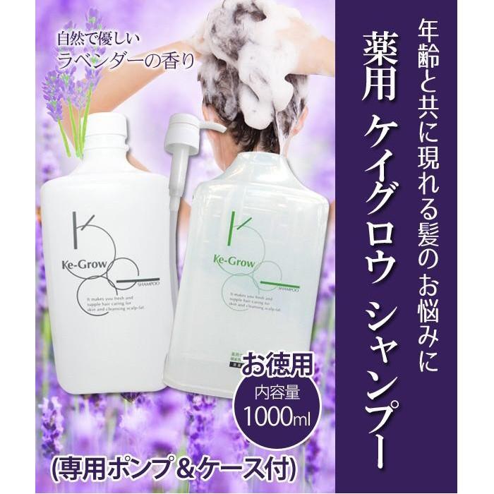 FIOLE フィヨーレ プロシャンプー 5000ml 詰替え用 レフィル 3個セット