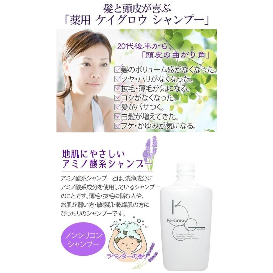 シャンプー 頭皮 髪 薄毛 薬用 ケイグロウ お徳用 1000ml(詰替用) 悩み