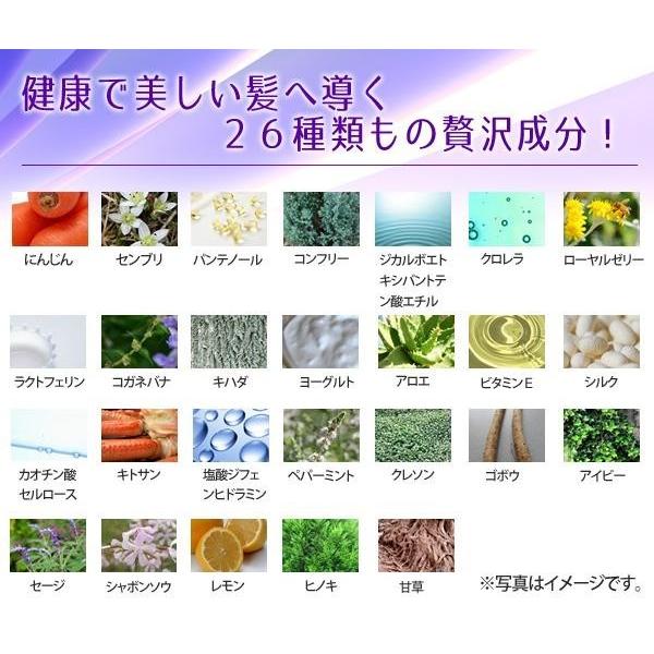 育毛剤 発育促進剤 育毛 発毛 養毛 薬用 ケイグロウ ヘアーエッセンス 発毛促進 抜け毛予防 抜毛 薄毛 白髪 フケ かゆみ 髪 悩み｜profit｜03