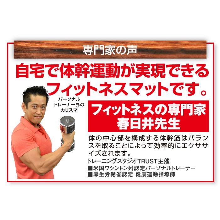 シェイプアップ 下腹 腹筋 体幹筋 体幹筋シェイプバランスマット