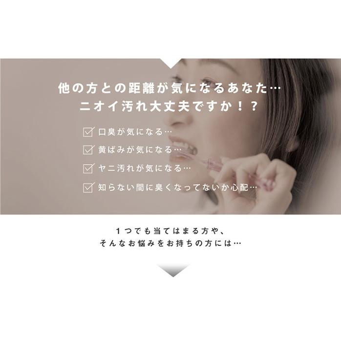 口臭 歯磨き粉 ホワイトニング 薬用マグ姫 医薬部外品｜profit｜03