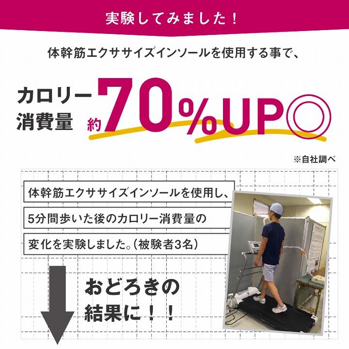 靴中敷き 体幹 トレーニング 体幹筋エクサインソール インソールツイン