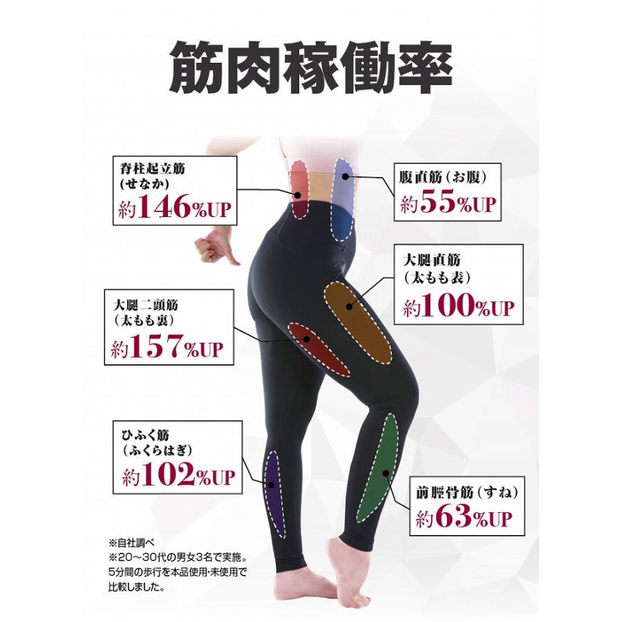 靴中敷き 体幹 トレーニング 体幹筋エクサインソール インソールツイン