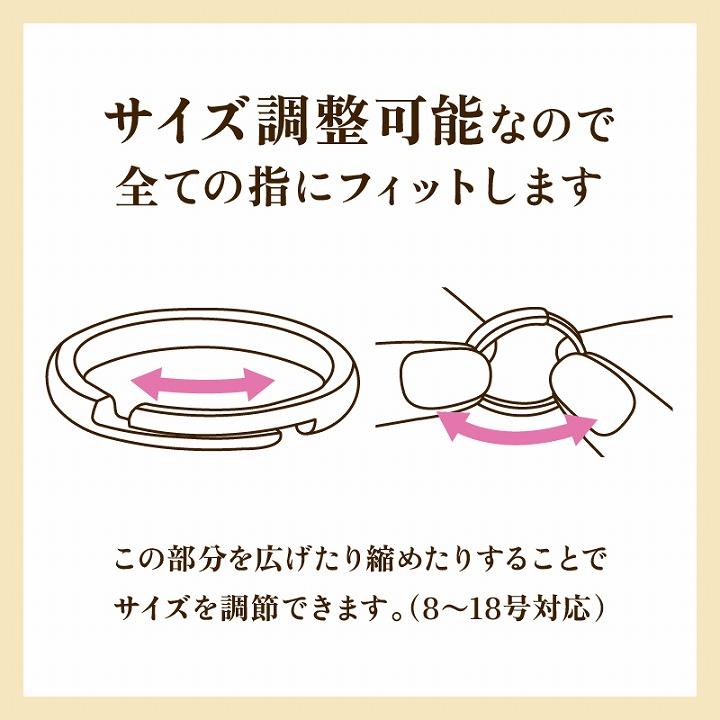 メール便対応 風水 財運 開運 金運 願望成就 プレミアムラッキー メール便対応 風水 財運 開運 金運 願望成就 プレミアムラッキー