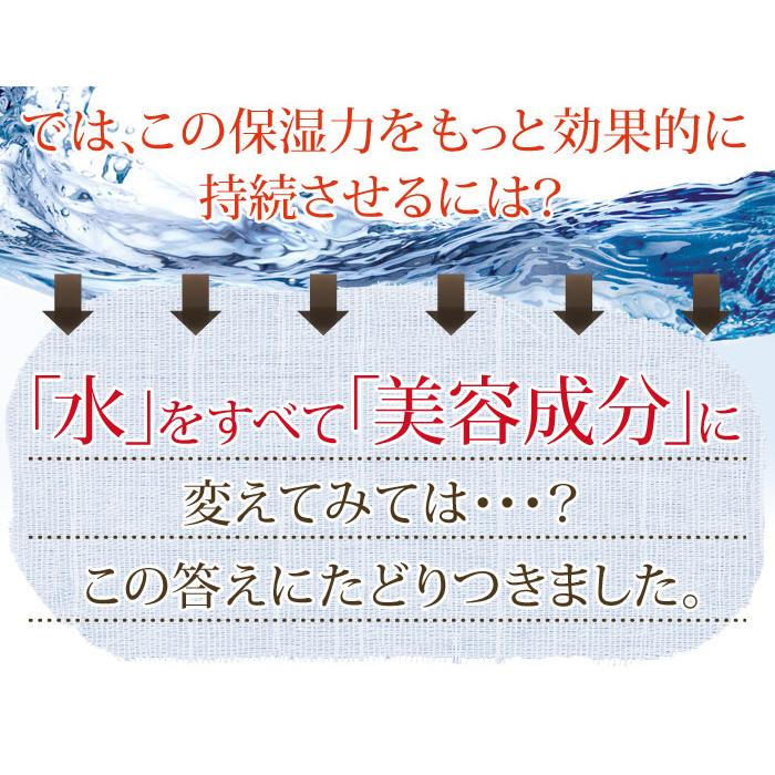 ガラクトーレスキンメンテナンスクリーム75g 5個セット クリーム