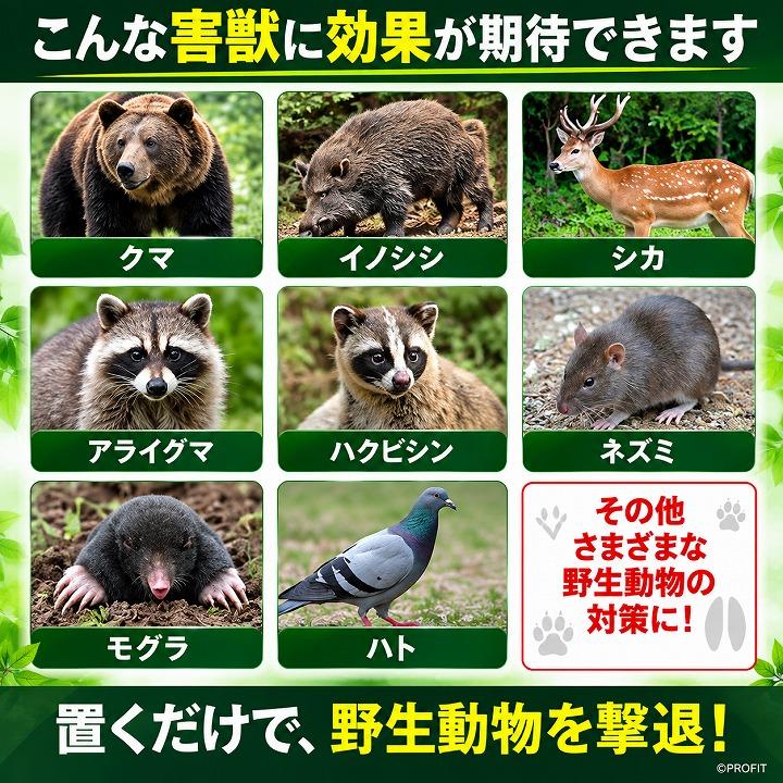くま 熊 クマ 忌避剤 強力 害獣 被害 強力害獣忌避剤 ファイヤースメル