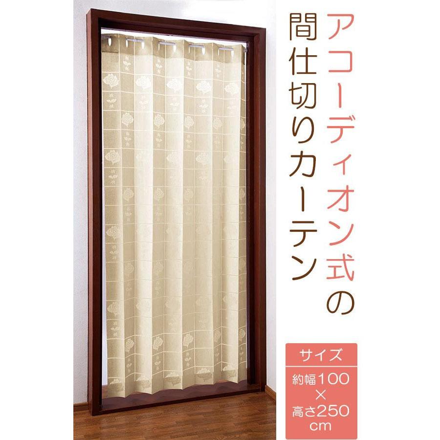 カーテン 仕切り 両開き アコーディオン式の間仕切りカーテン : プロ