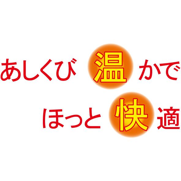 メール便対応 冷え性 防寒 遠赤外線 足首 サポーター 勝野式 足くび温快 左右セット 巻くだけ 簡単 通販 人気 冷房対策 薄手 蓄熱保温 防臭｜profit｜02