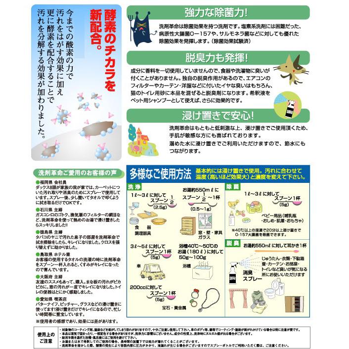 洗剤 せんざい 洗たく 洗濯 除菌 SUPER洗剤革命 300gセット 掃除大掃除