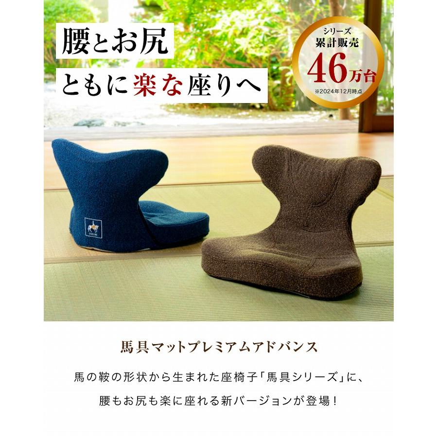 座椅子 腰痛 馬具マット 美姿勢 馬具マットプレミアムアドバンス 腰