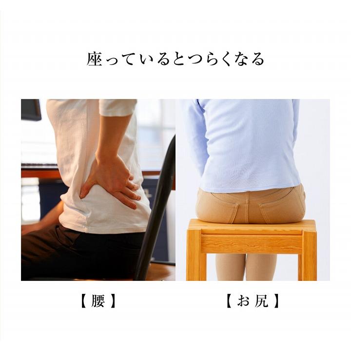座椅子 腰痛 馬具マット 美姿勢 馬具マットプレミアムアドバンス 腰