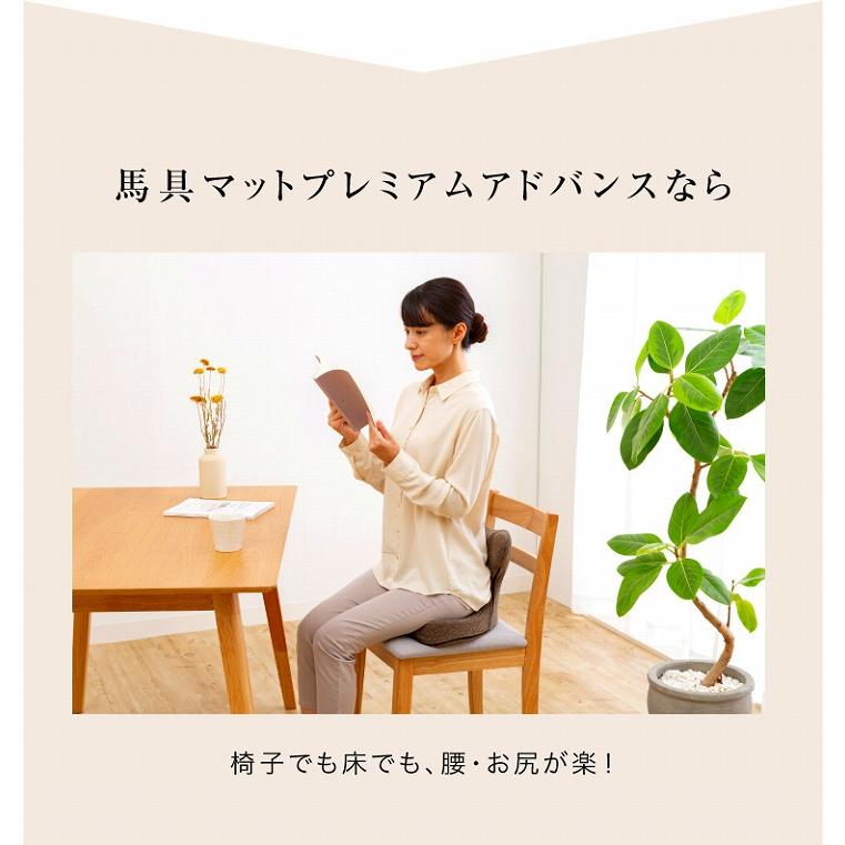 座椅子 腰痛 馬具マット 美姿勢 馬具マットプレミアムアドバンス 腰