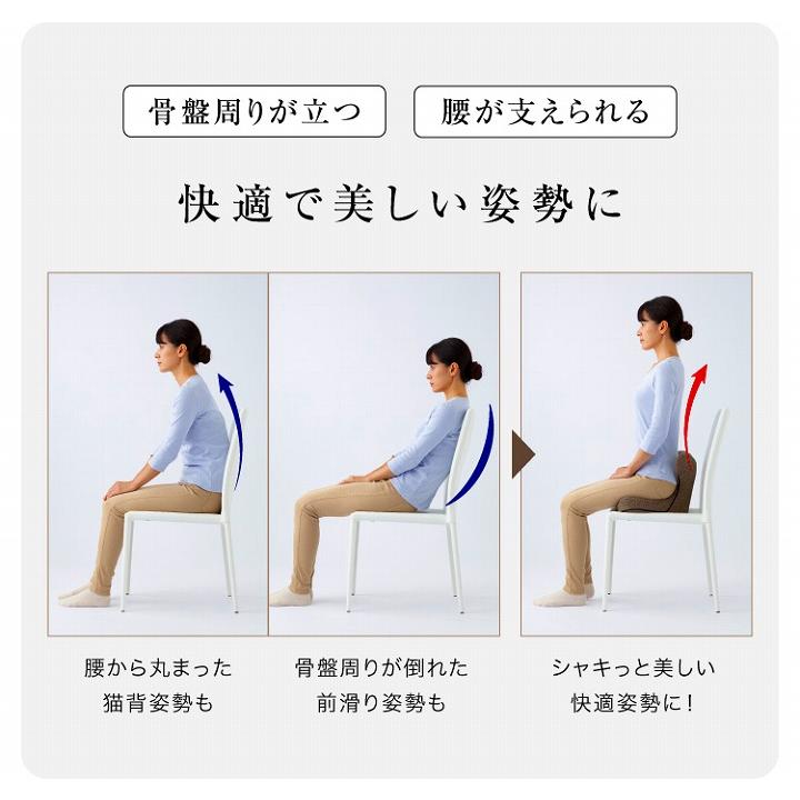 座椅子 腰痛 馬具マット 美姿勢 馬具マットプレミアムアドバンス 腰