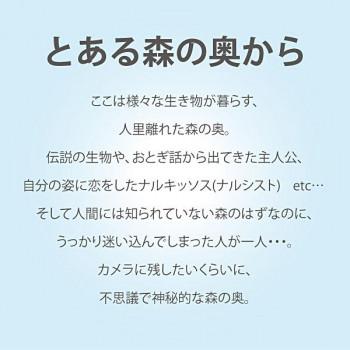 ユーパワー Marino Nakano なかの まりの アートフレーム とある森の奥から(Mサイズ) NM-08005_1