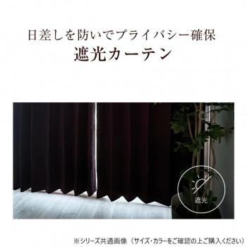 カーテン ジール 2P 100X215 IV 725790000215061_4
