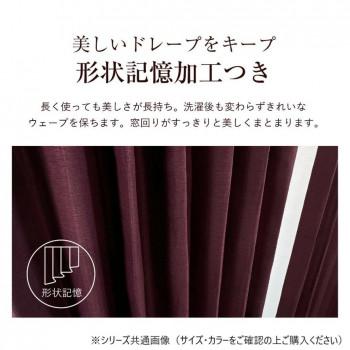 カーテン ジール 2P 100X215 IV 725790000215061_5