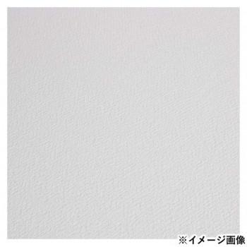 ファブリアーノ アルティスティコ エキストラホワイト 水彩紙 細目 FXBH-18×26