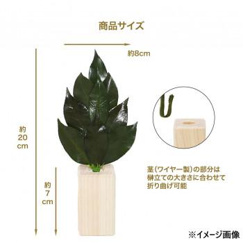 A＆K 日本製プリザーブド ミニS榊 鳥居付き神棚セット ST-033_2