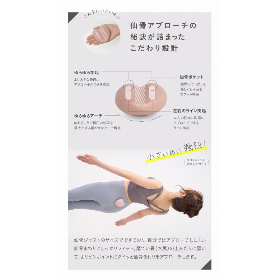 ストレッチ 骨盤 ゆがみ 腰 仙骨 コシレッチpetit 爆買 : プロフィット