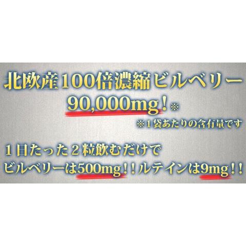 ブルーベリー ビルベリー ルテイン 極藍100倍濃縮北欧産ビルベリー 大容量約6ヵ月分/サプリメント サプリ 疲れ目 アントシアニン｜profit｜03