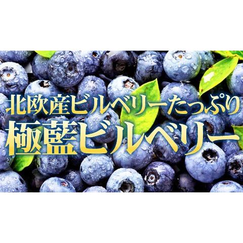 ブルーベリー ビルベリー ルテイン 極藍100倍濃縮北欧産ビルベリー 大容量約6ヵ月分/サプリメント サプリ 疲れ目 アントシアニン｜profit｜04