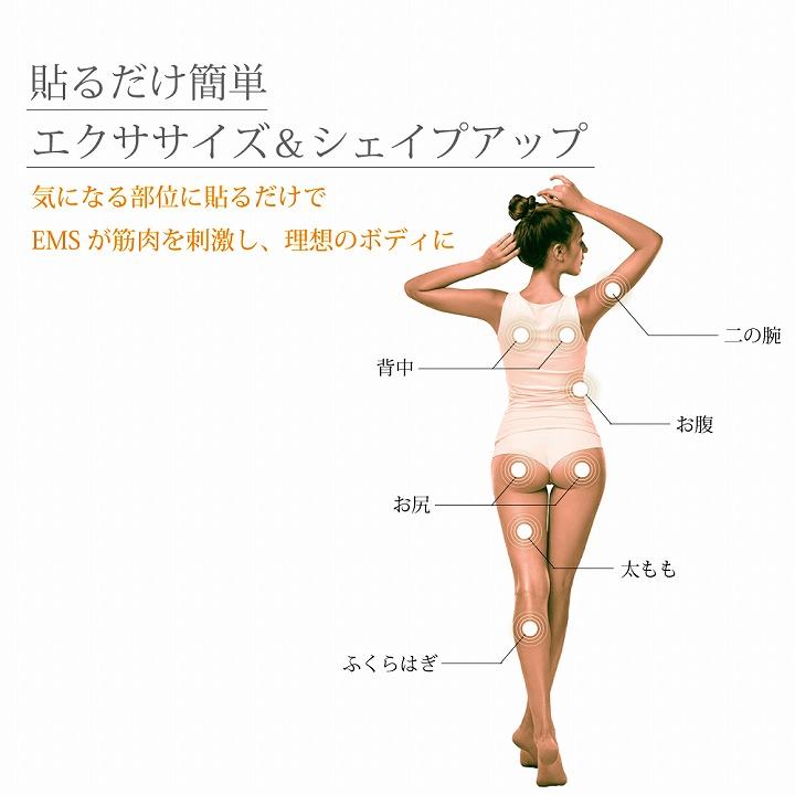 EMS ダイエット 運動 シェイプアップ どこでもEMSエクササイズ OM