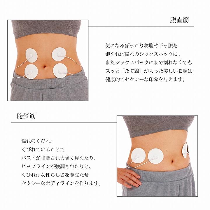 EMS ダイエット 運動 シェイプアップ どこでもEMSエクササイズ OM