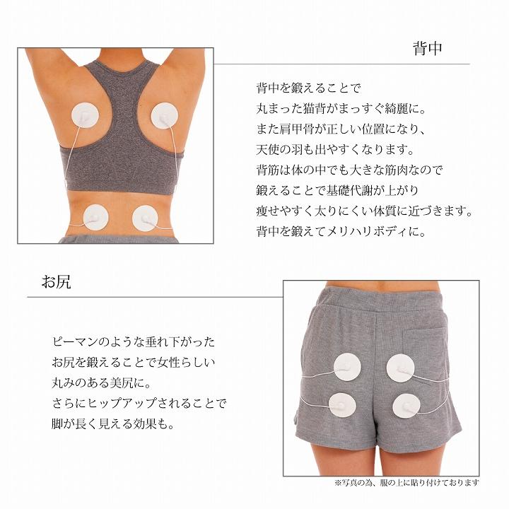 EMS ダイエット 運動 シェイプアップ どこでもEMSエクササイズ OM